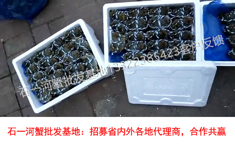 河蟹打包装箱